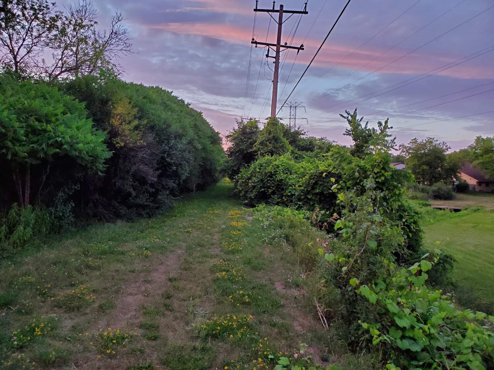 The Powerline Trail (trailhead 1 eastbound) — photo 1