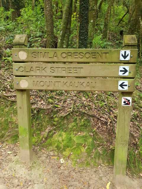 Mt Kaukau Summit Hike — Simla Crescent Trailhead — photo 3