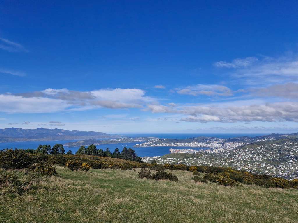 Mt Kaukau Summit Hike — Simla Crescent Trailhead