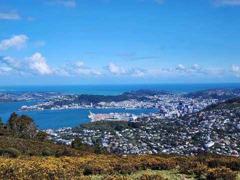 Mt Kaukau Summit Hike — Simla Crescent Trailhead — photo 2