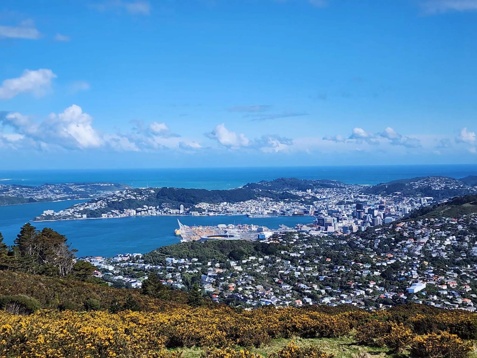 Mt Kaukau Summit Hike — Simla Crescent Trailhead — photo 2