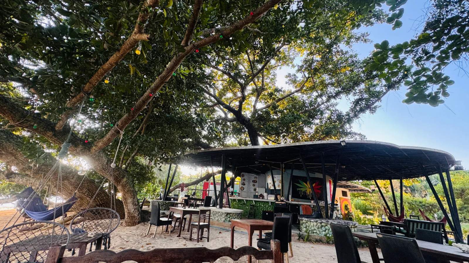 Monkey Shock Restaurant & Bar — photo 1