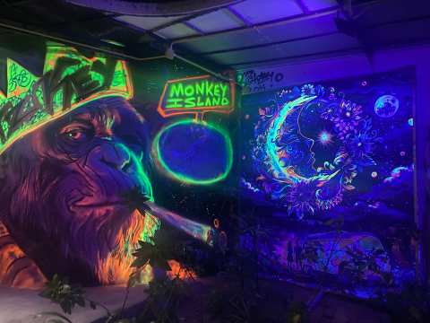 Monkey Shock Restaurant & Bar — photo 5