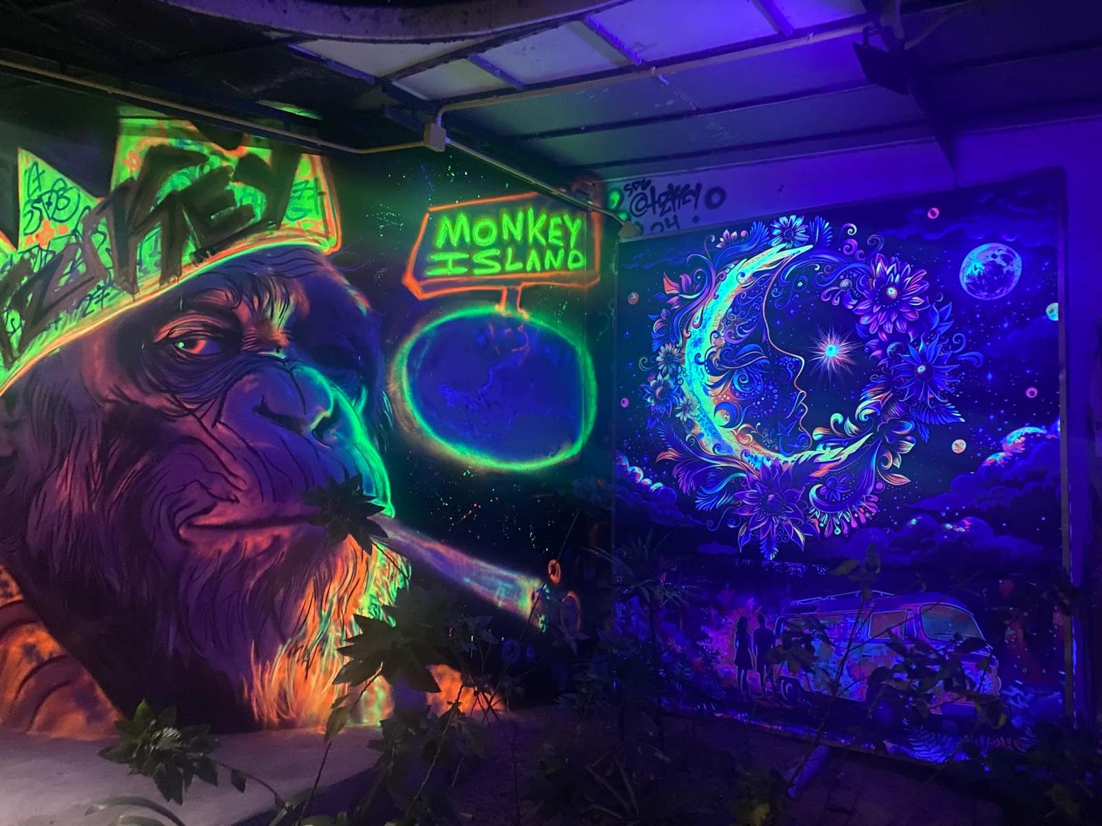 Monkey Shock Restaurant & Bar — photo 5
