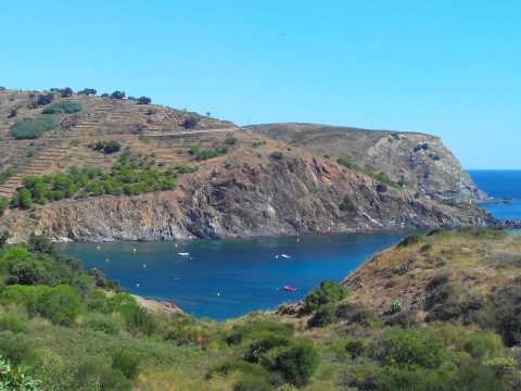 Réserve naturelle nationale de Cerbère-Banyuls — photo 3