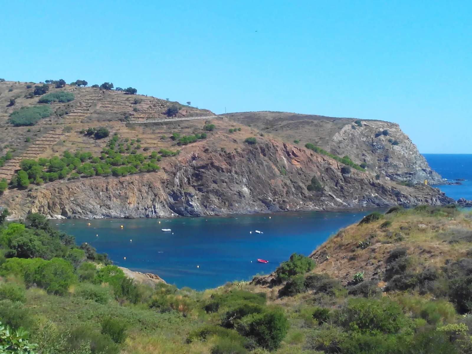 Réserve naturelle nationale de Cerbère-Banyuls — photo 3