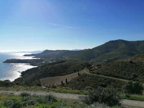 Réserve naturelle nationale de Cerbère-Banyuls — photo 2