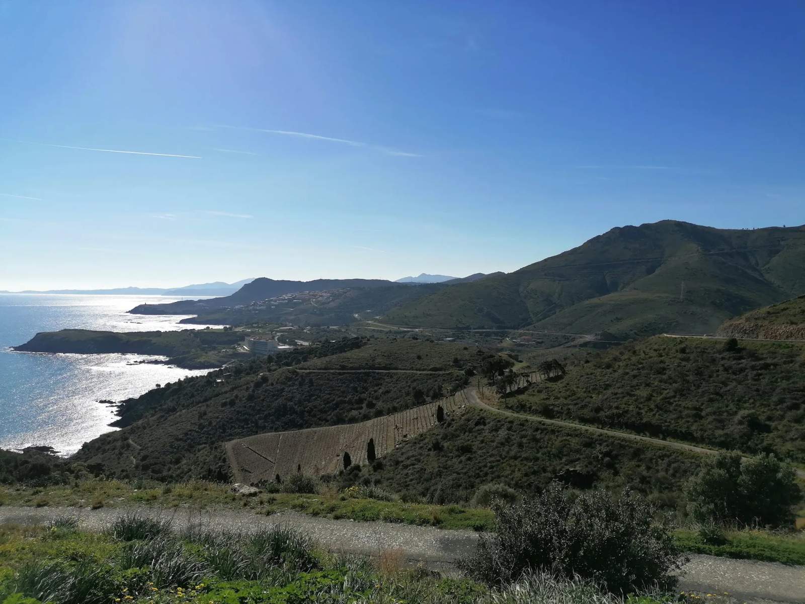 Réserve naturelle nationale de Cerbère-Banyuls — photo 2