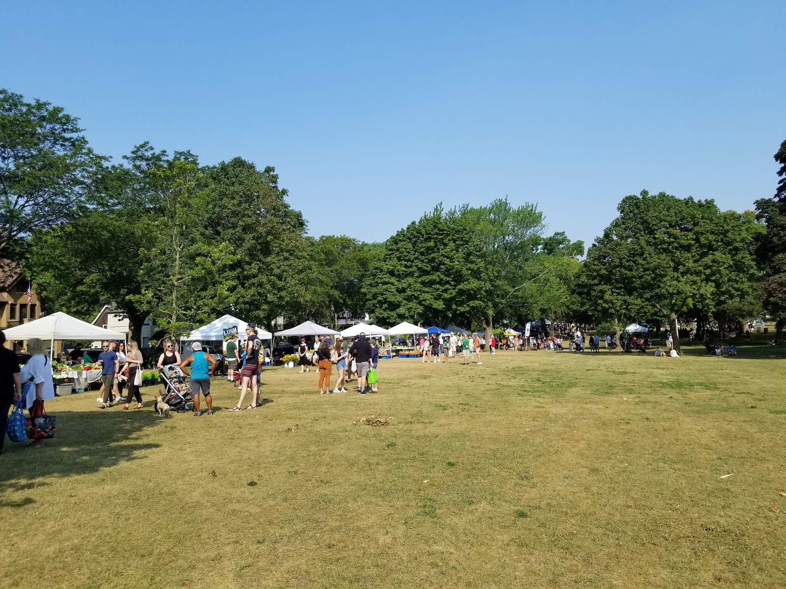 South Shore Farmers’ Market — photo 4