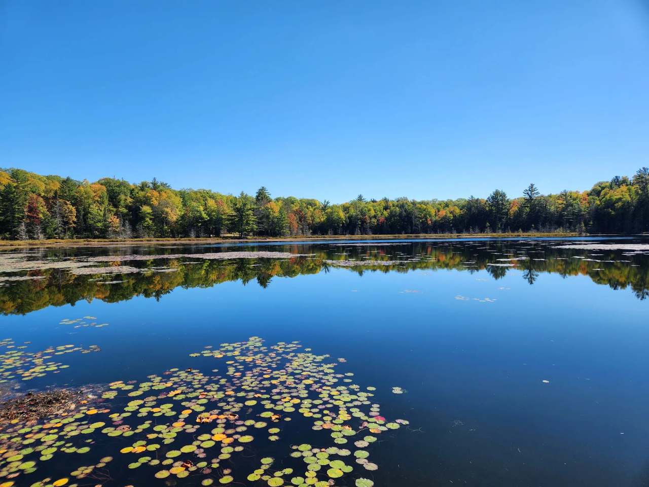 Land O'Lakes Bike Trail — photo 2