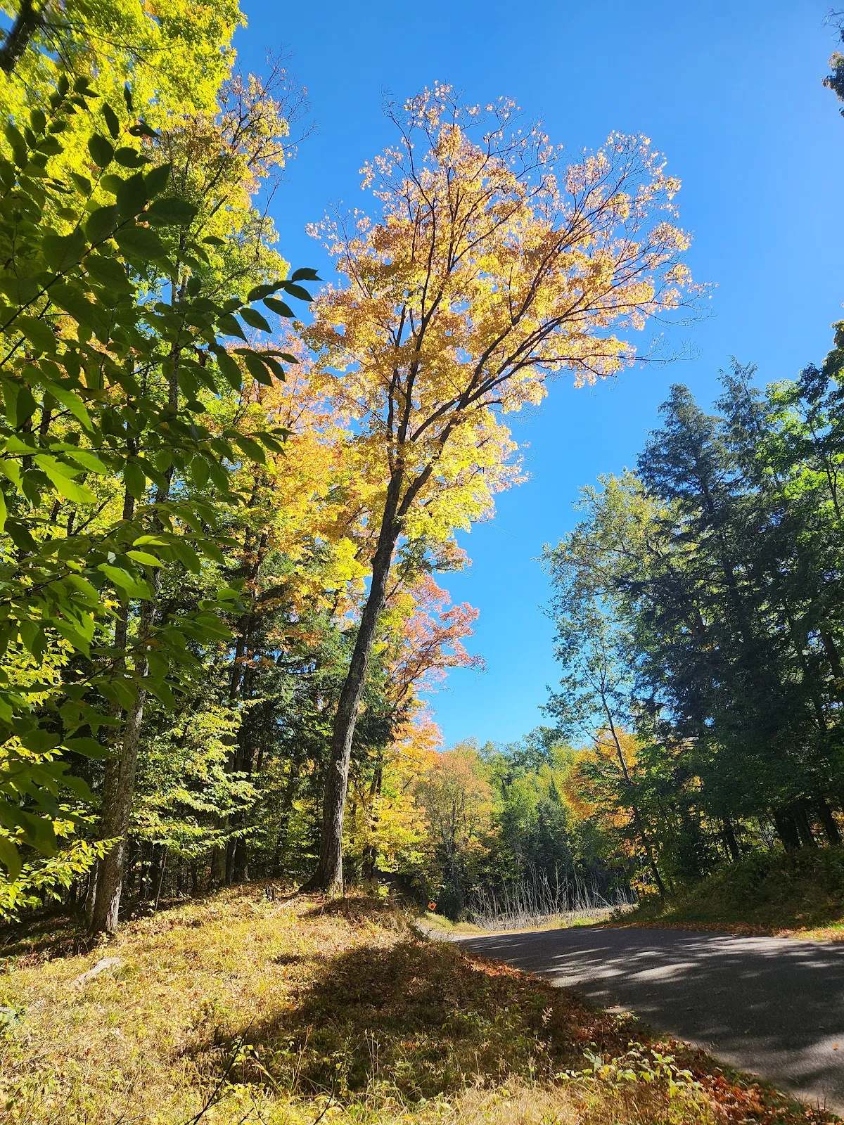 Land O'Lakes Bike Trail — photo 1