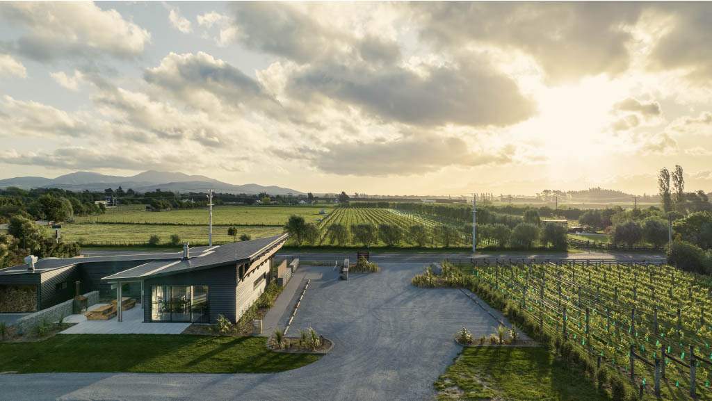 Nga Waka Vineyard — photo 1