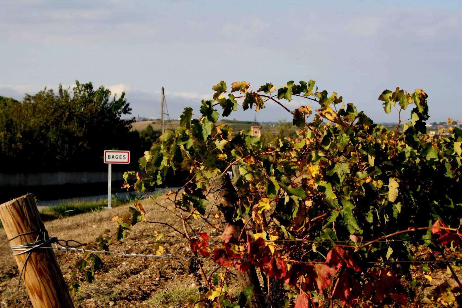 Domaine de Juvi — photo 1