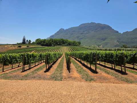 Tokara Delicatessen — photo 5