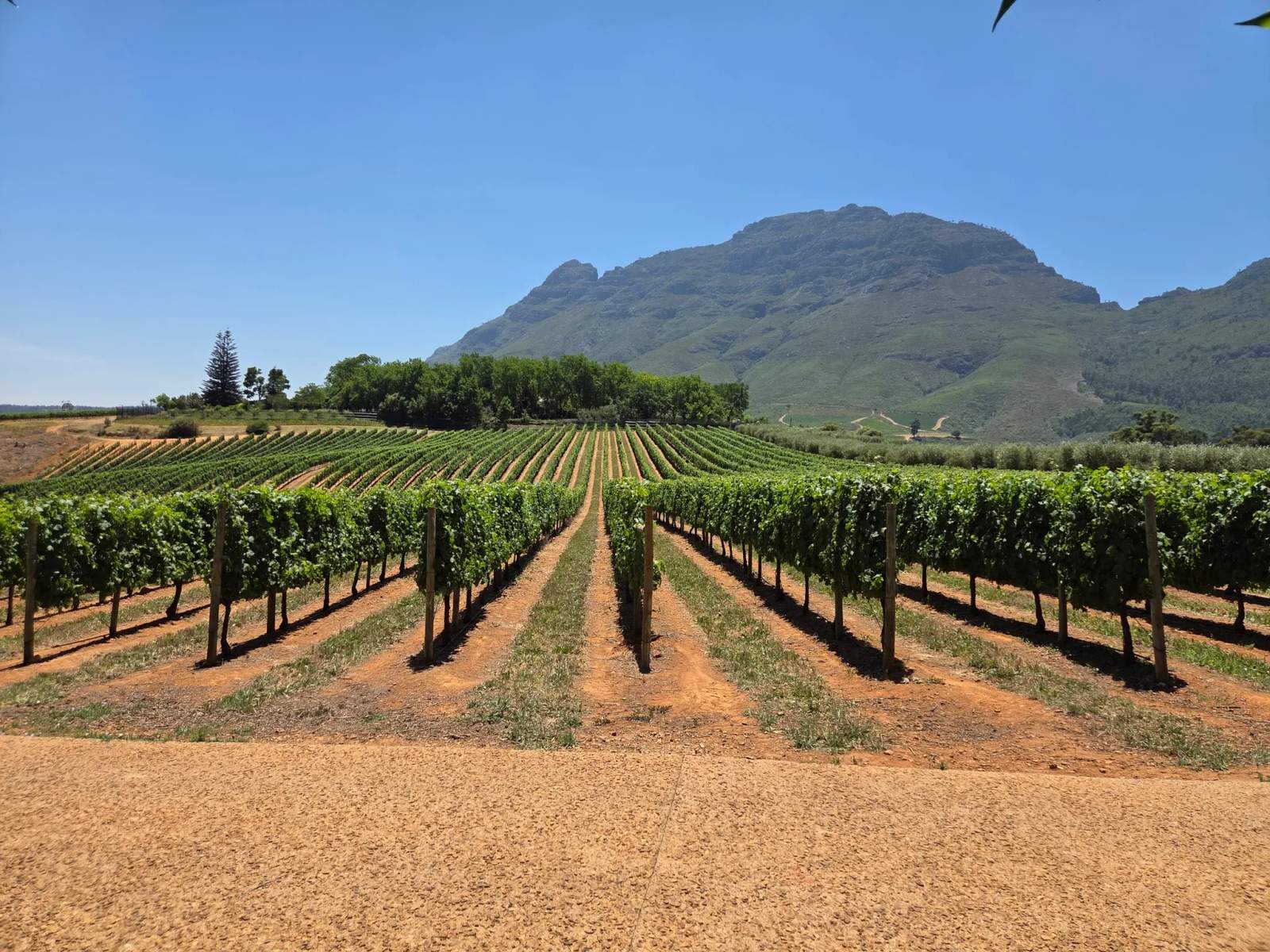 Tokara Delicatessen — photo 5