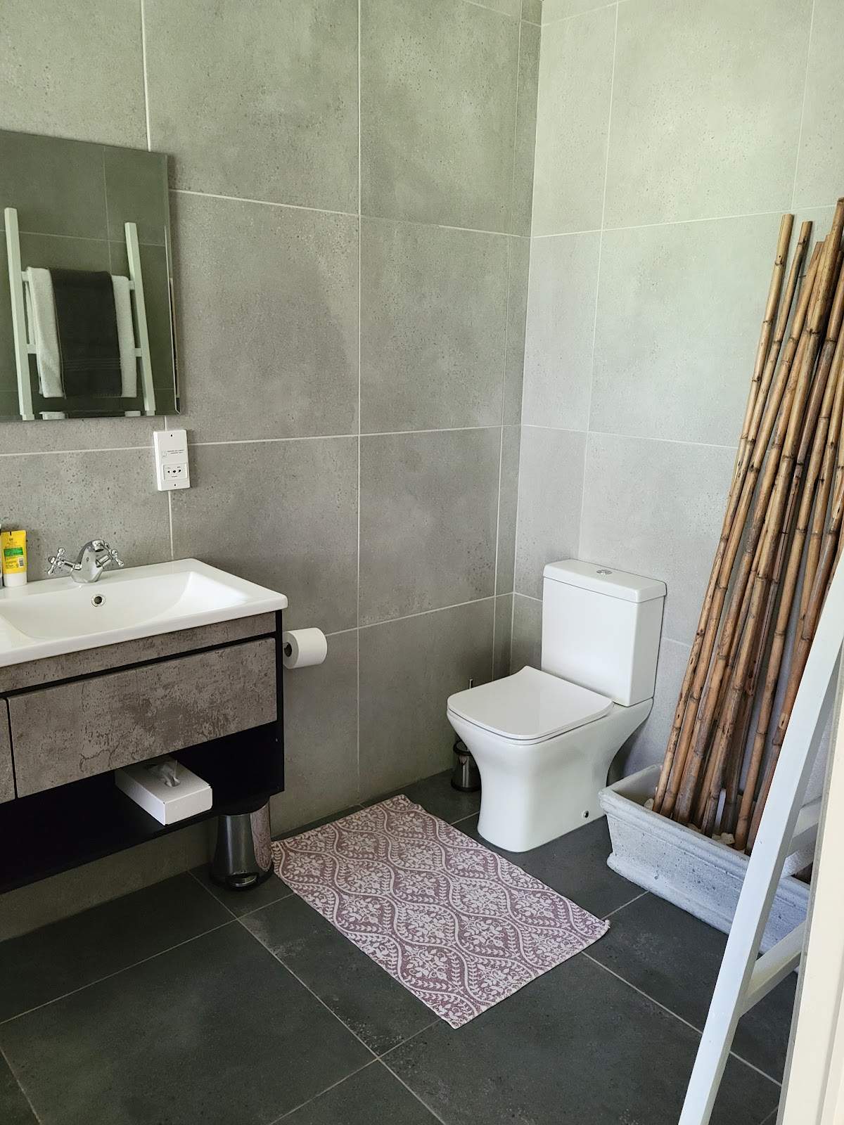 Vine Guesthouse - Koelenhof - Stellenbosch — photo 4