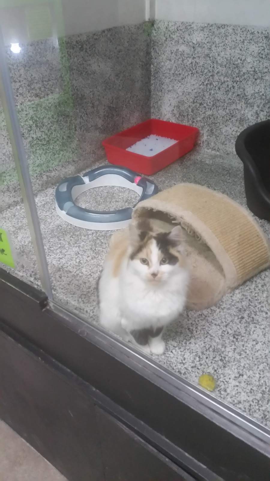 Masterton Pet Shop — photo 3
