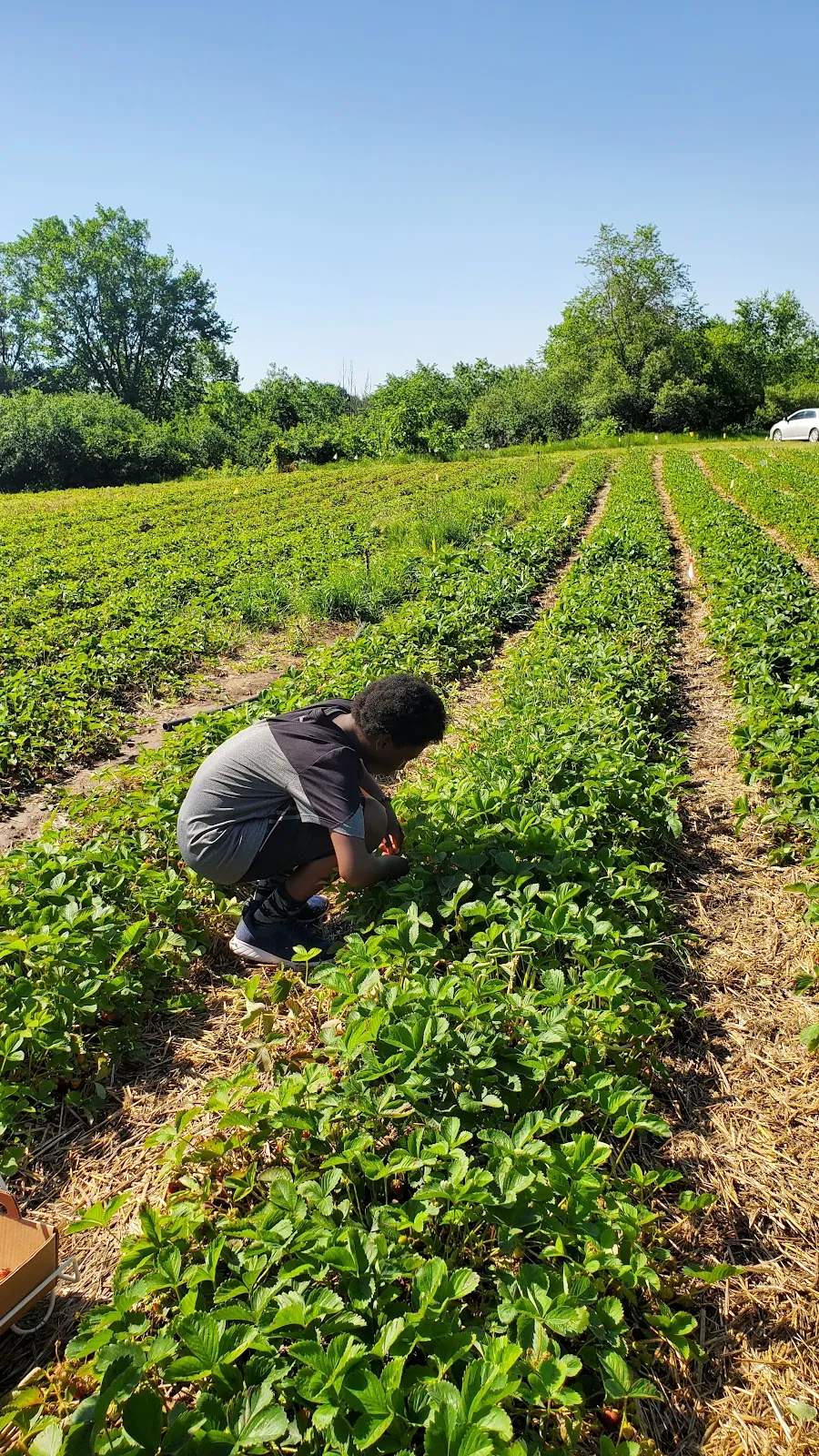 Fideler Farm — photo 2