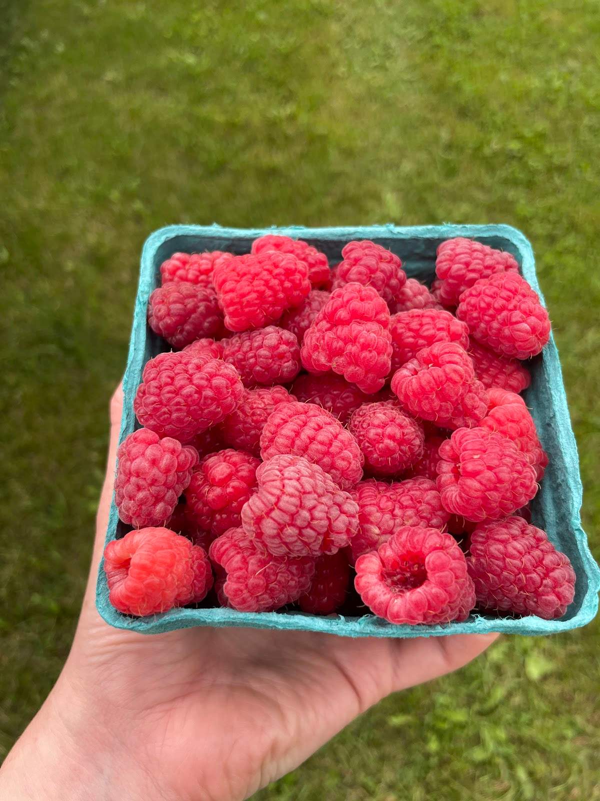 Fideler Farm — photo 1