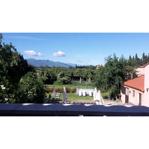 Mas des Albères — photo 5