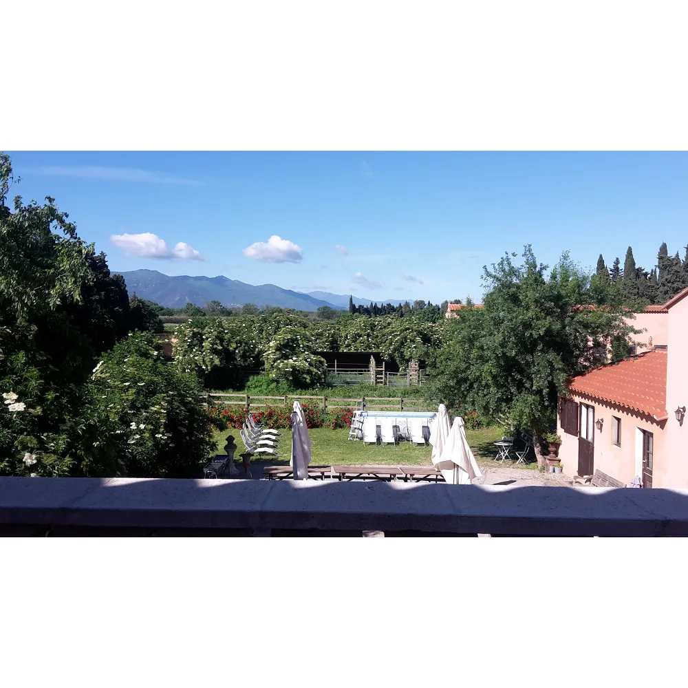 Mas des Albères — photo 5