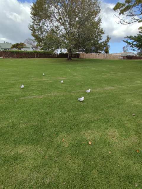 Diggelmann Park — photo 3