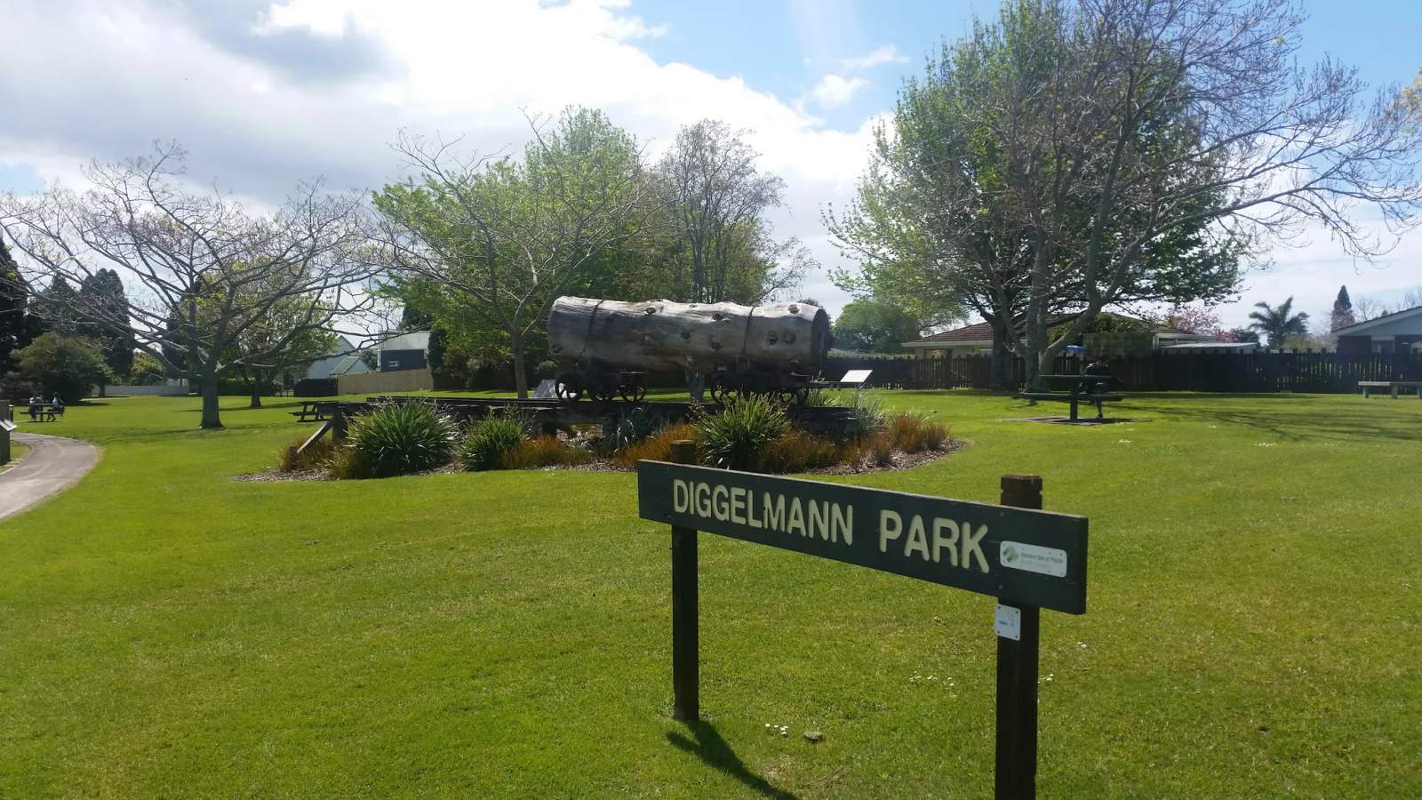 Diggelmann Park — photo 1