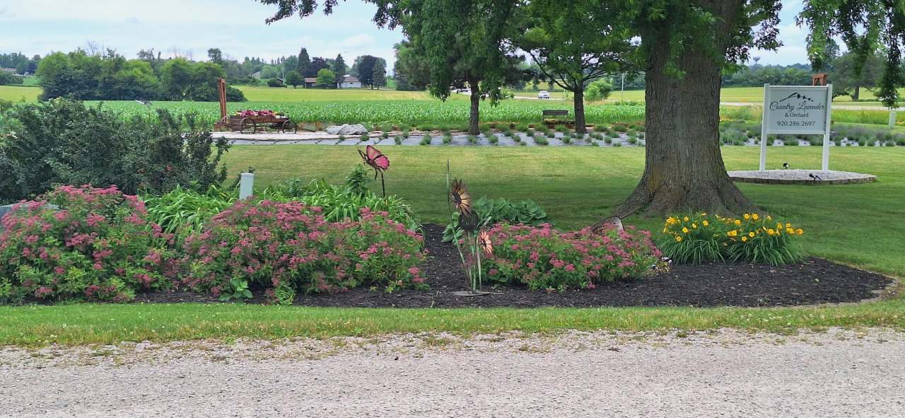 Country Lavender & Orchard, LLC — photo 3