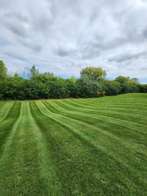 Quality Landscape and Lawn Care — photo 3