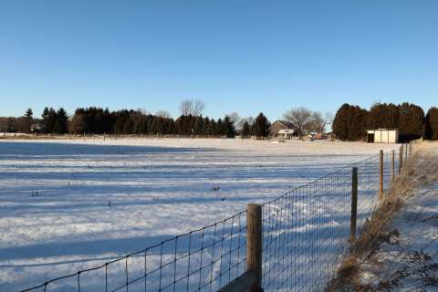 Velvet Sheep Farms — photo 3