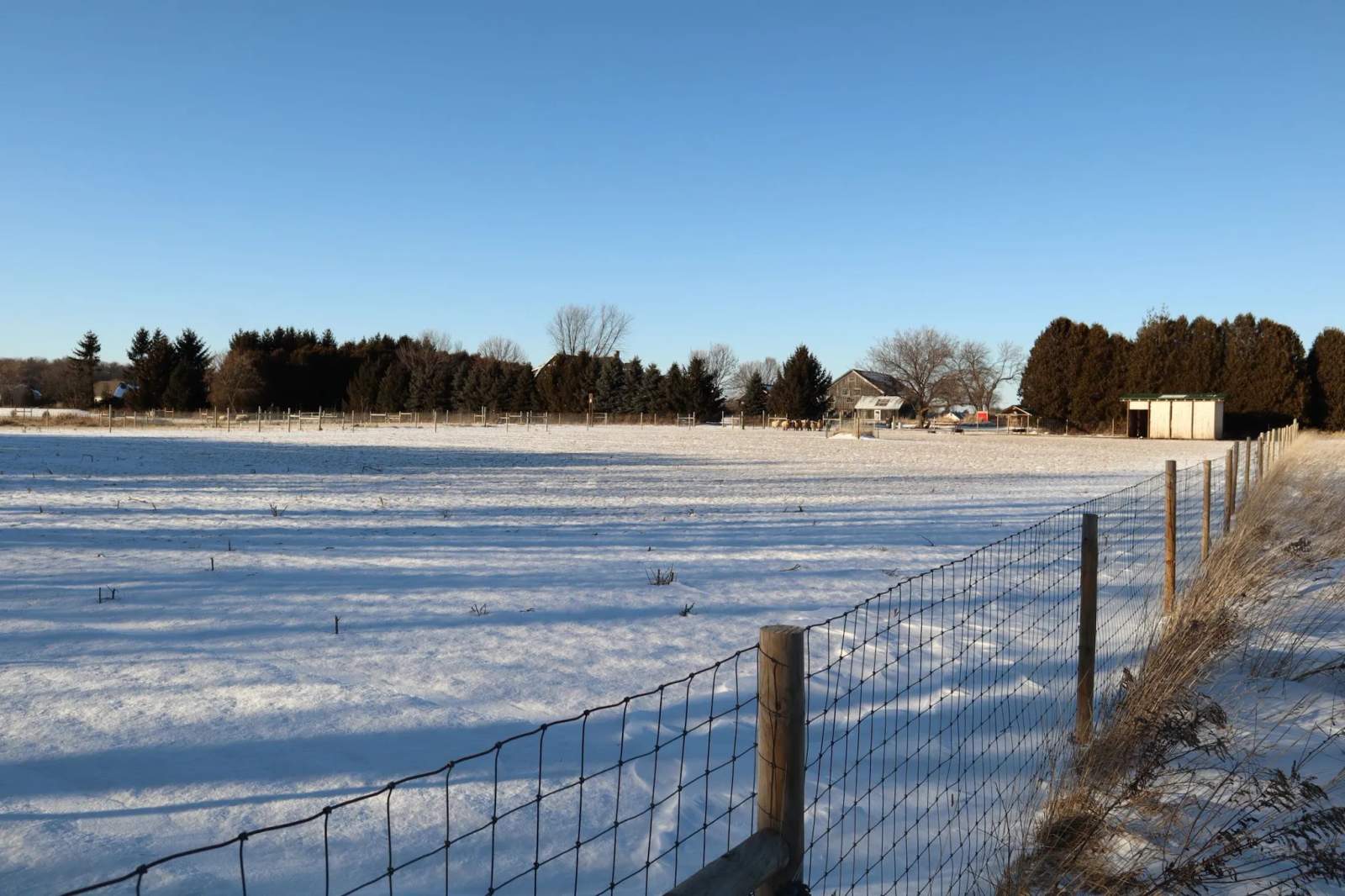 Velvet Sheep Farms — photo 3