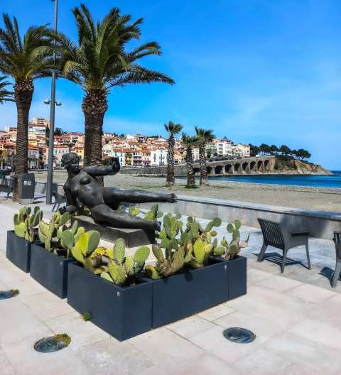 Banyuls sur Mer Tourist Office — photo 3