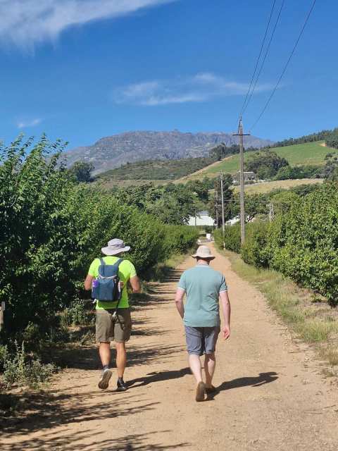 Wine in the Cape Tours — photo 3