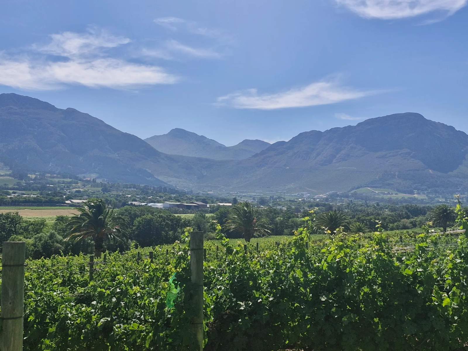 Wine in the Cape Tours — photo 1