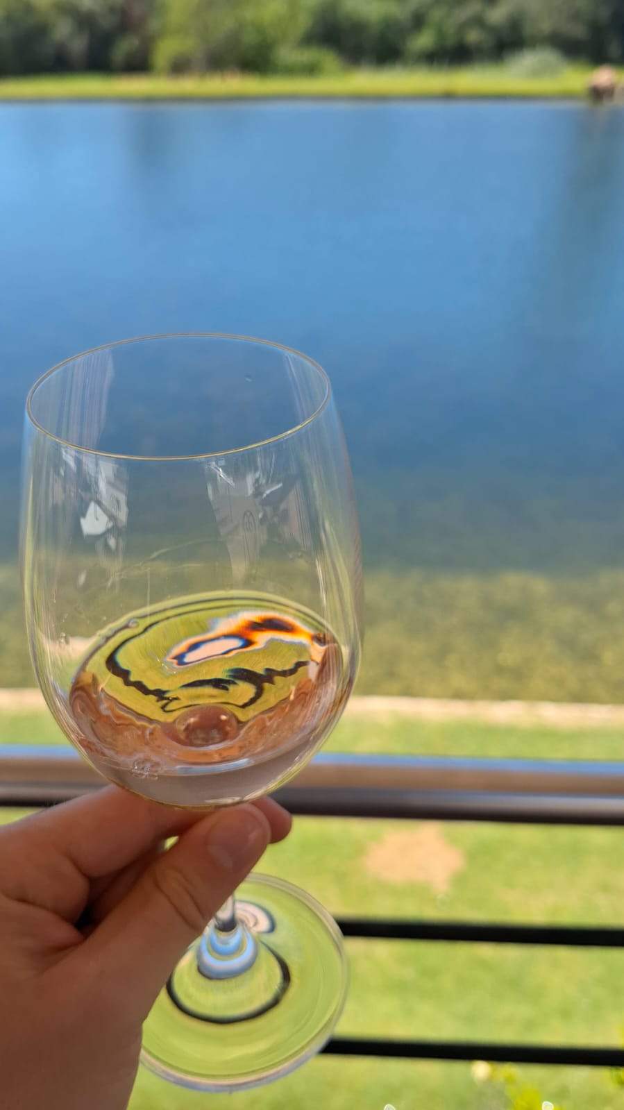 Wine in the Cape Tours — photo 4