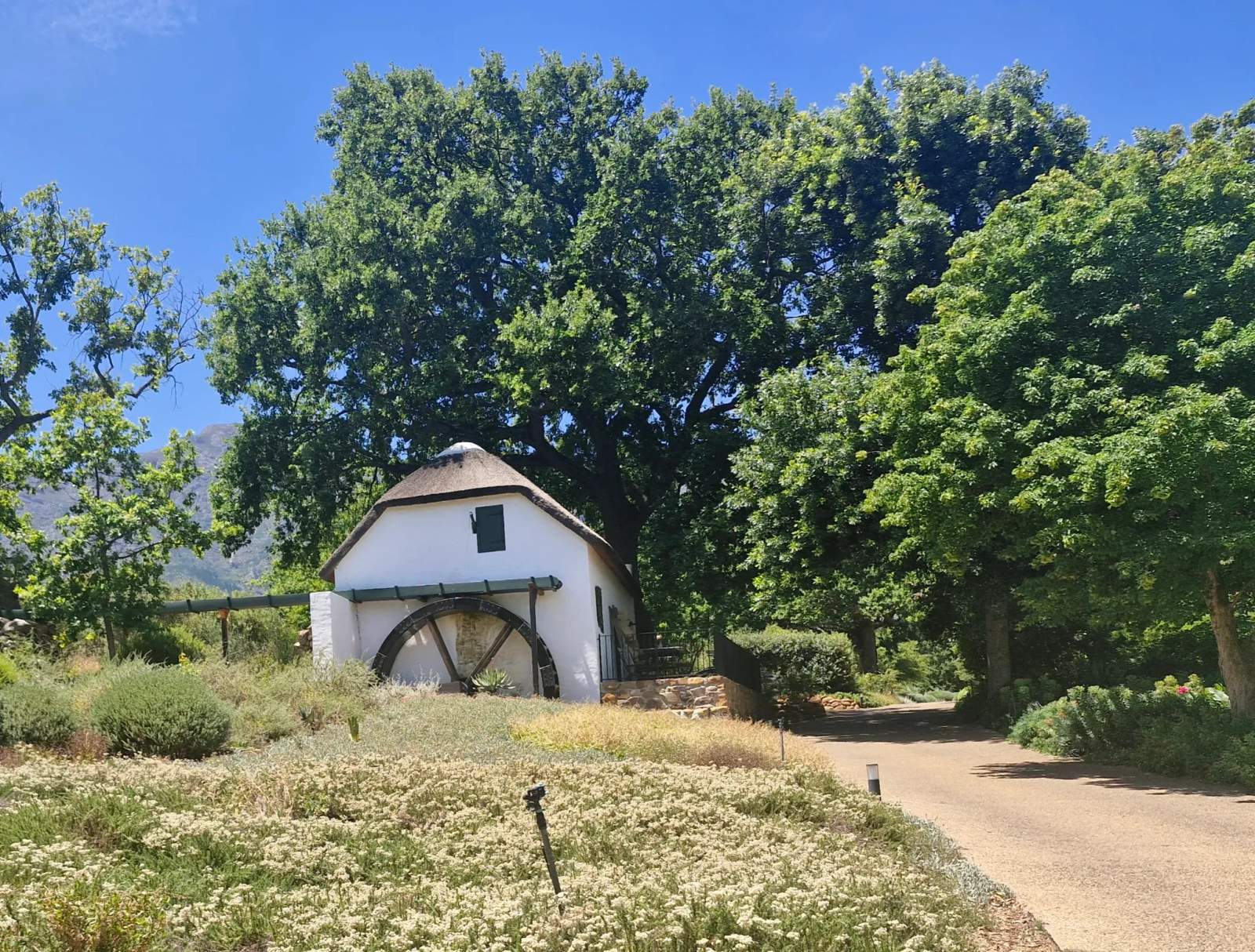 Wine in the Cape Tours — photo 2