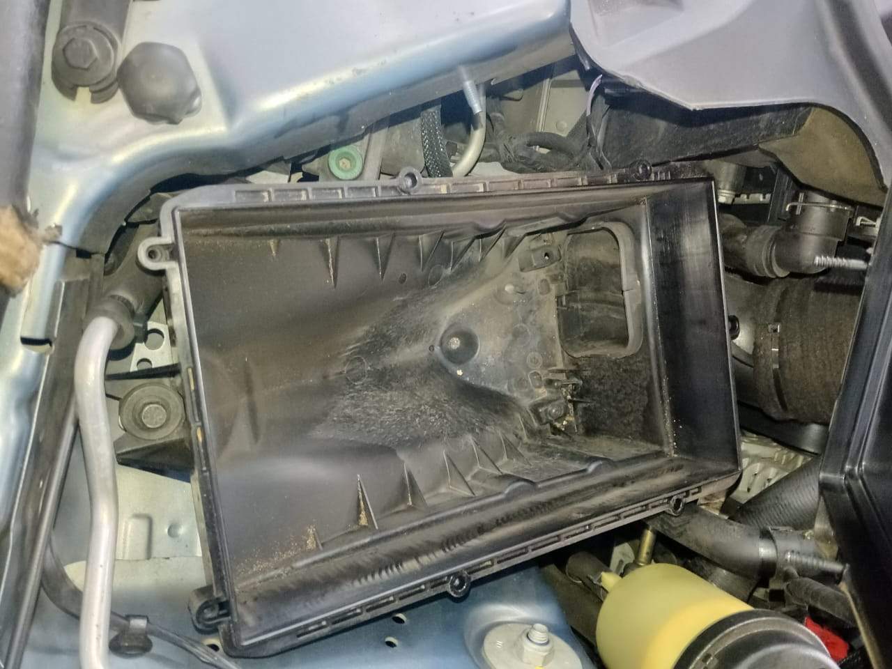 Denzo Auto Tec — photo 3
