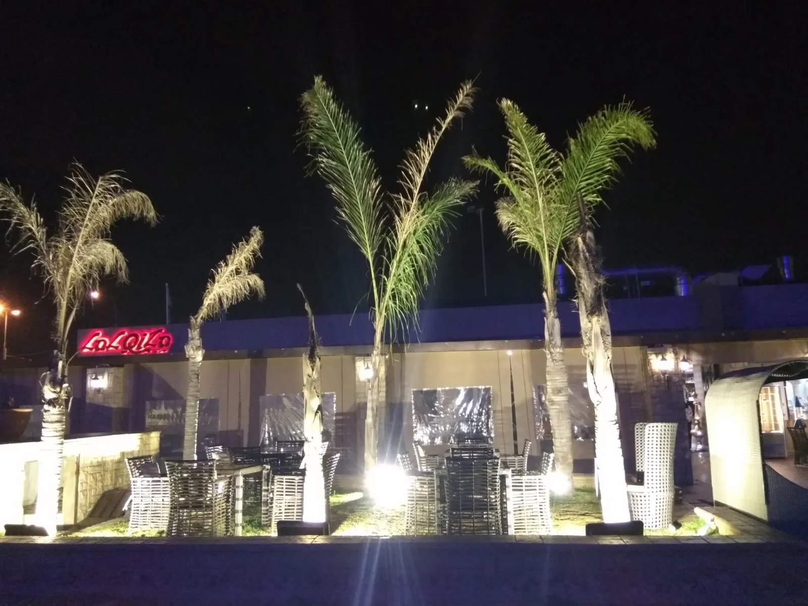 Palm Continental Hotel — photo 1