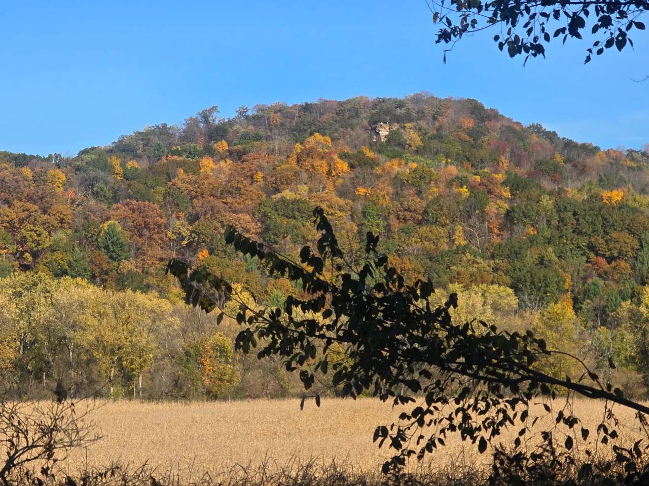 Kickapoo Valley Reserve Visitor Center — photo 1