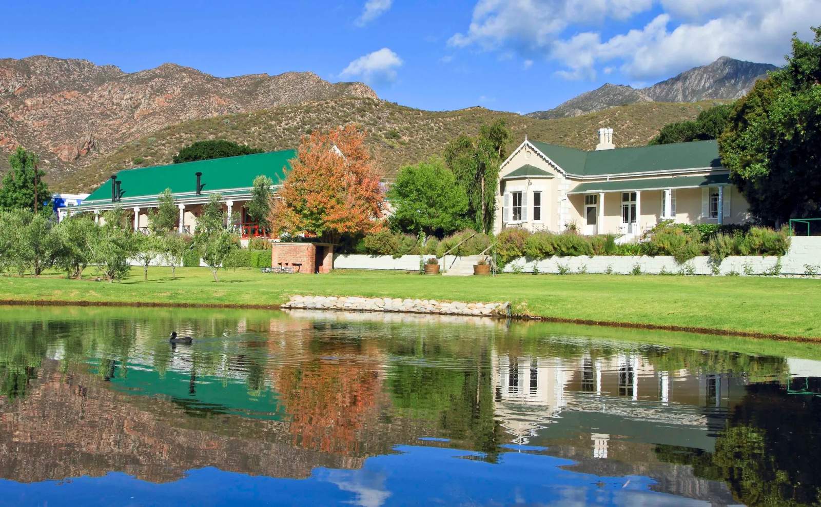 Montagu Vines Guesthouse — photo 1