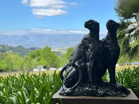 Delaire Graff Restaurant — photo 4
