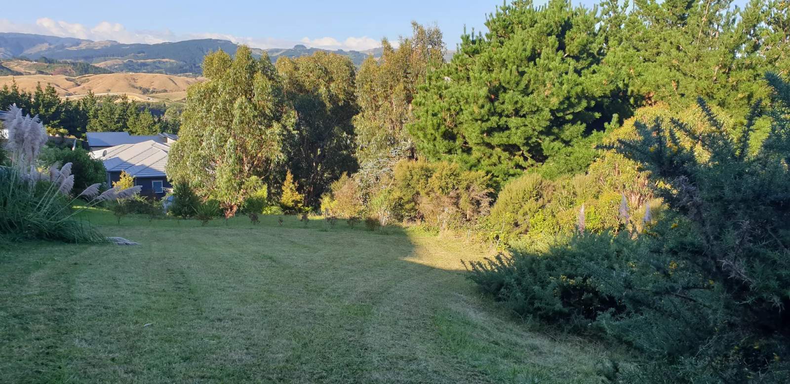 Tawa Lawn — photo 2