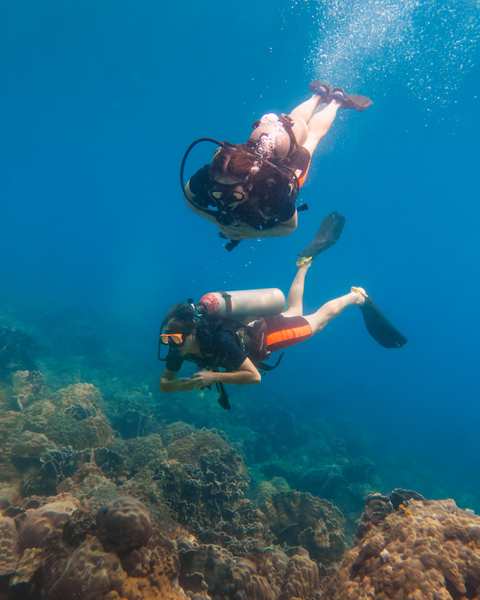 bb divers koh kood บีบี ไดเวอร์ส เกาะกูด — photo 2