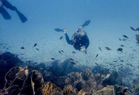 bb divers koh kood บีบี ไดเวอร์ส เกาะกูด — photo 5