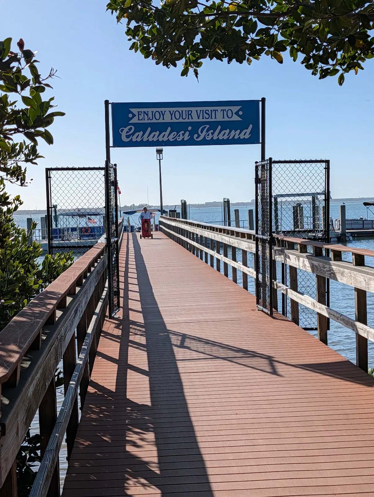 Caladesi Island Ferry — photo 1