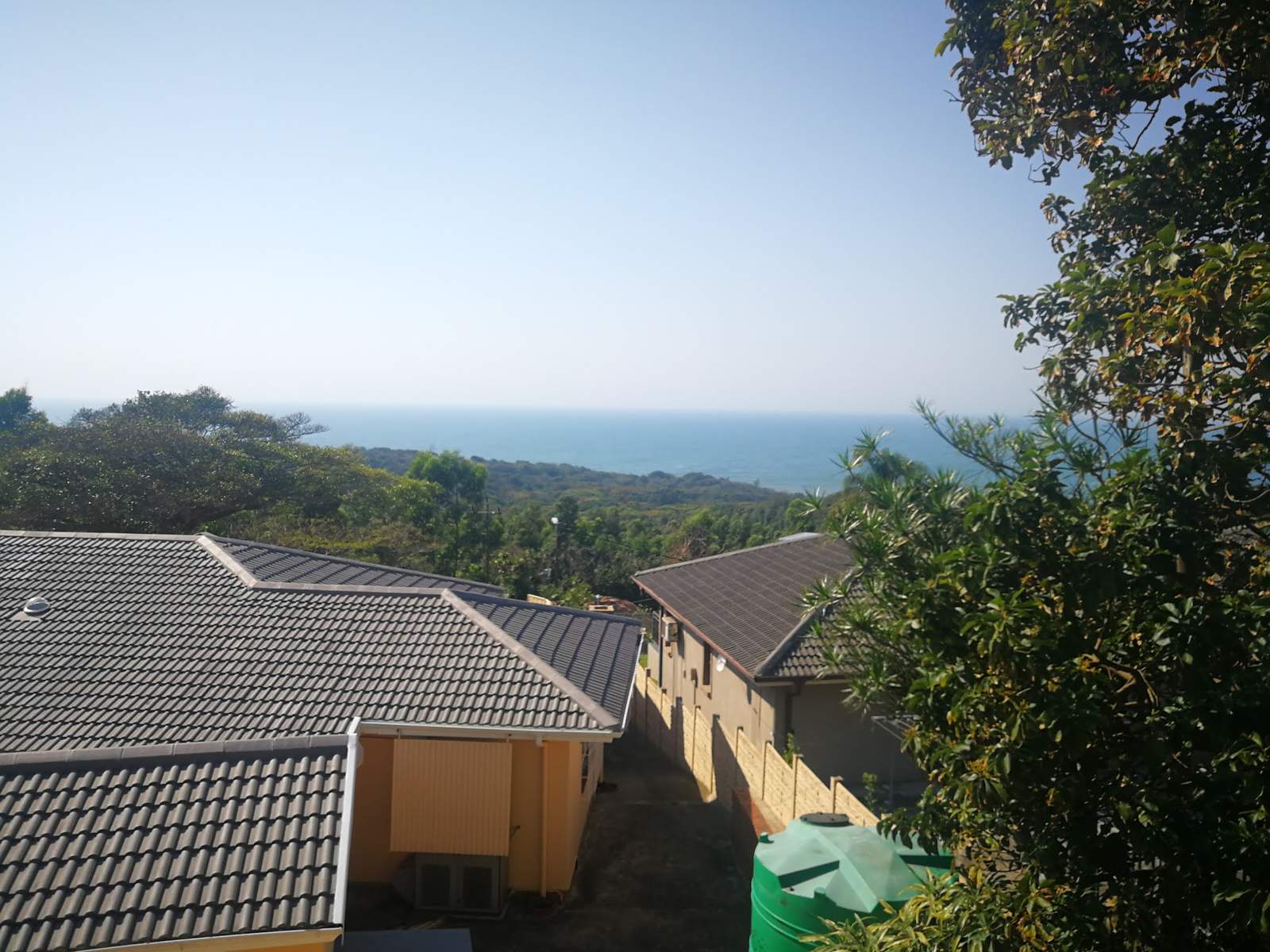 Fig Tree Manor B&B — photo 1