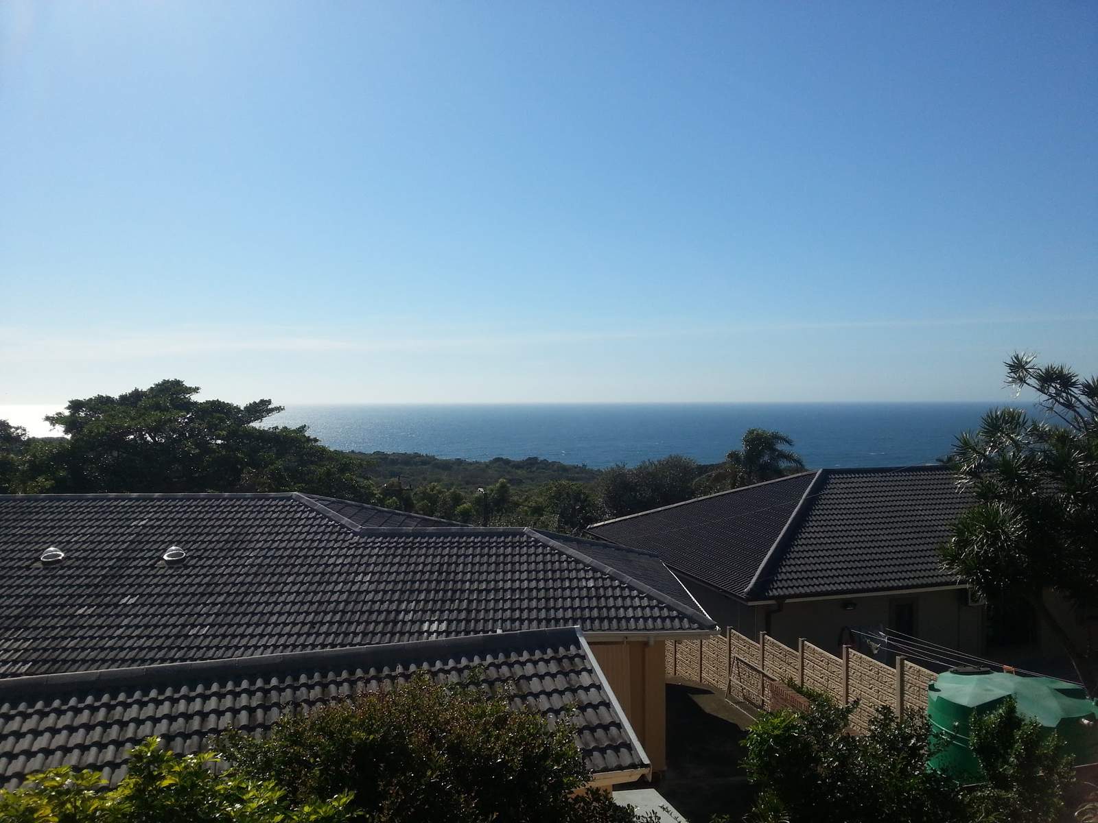 Fig Tree Manor B&B — photo 3