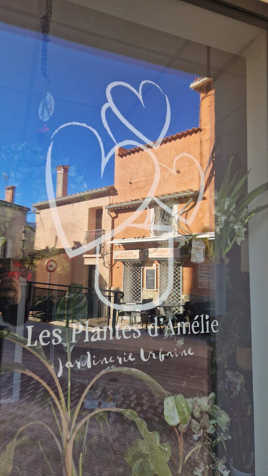 Les Plantes d'Amélie — photo 1