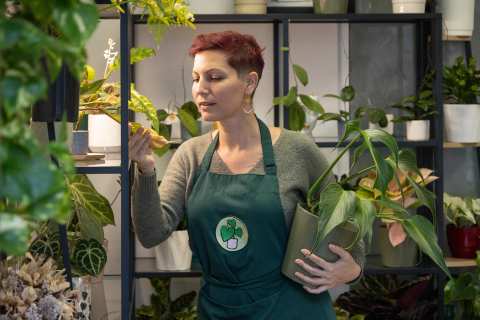 Les Plantes d'Amélie — photo 3