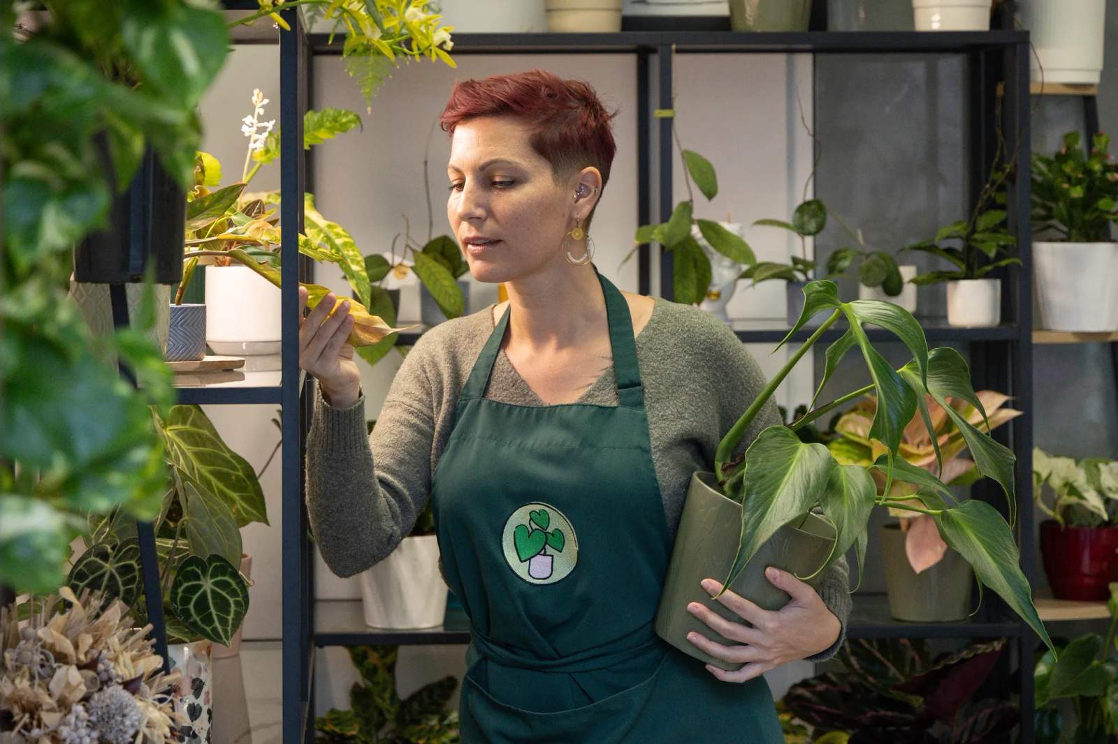 Les Plantes d'Amélie — photo 3